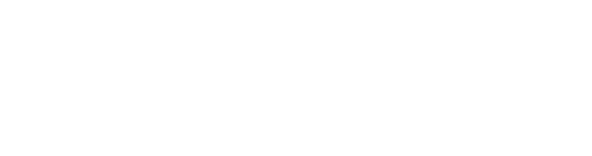 Dynamic Training & Recruitment Security Services Company